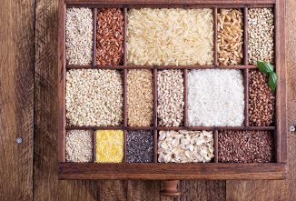 Quality Seeds Are Everything